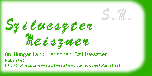 szilveszter meiszner business card